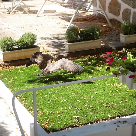 بيت ضيافة Guestready - Charming House Marques